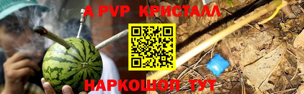 Alfa_PVP крисы CK Новоалександровск
