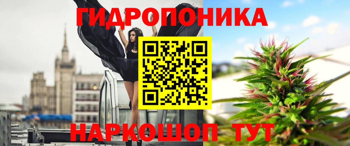 ЭКСТАЗИ  КОКАИН  МЕТАДОН  Новоалександровск  МЕФ   Меф МЯУ МЯУ  Каннабис  Гашиш  МДМА  Вход с VPN 